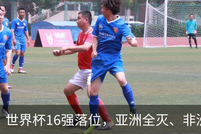 世界杯16强落位，亚洲全灭、非洲队锐减，多场重磅对决来袭