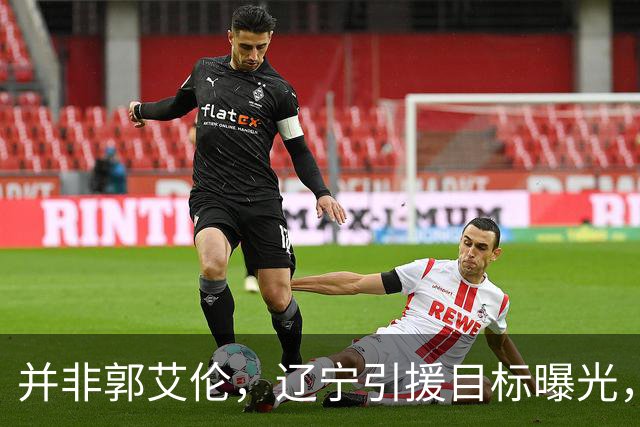 并非郭艾伦，辽宁引援目标曝光，国字号后卫，刚和球队闹翻，赵继伟期待